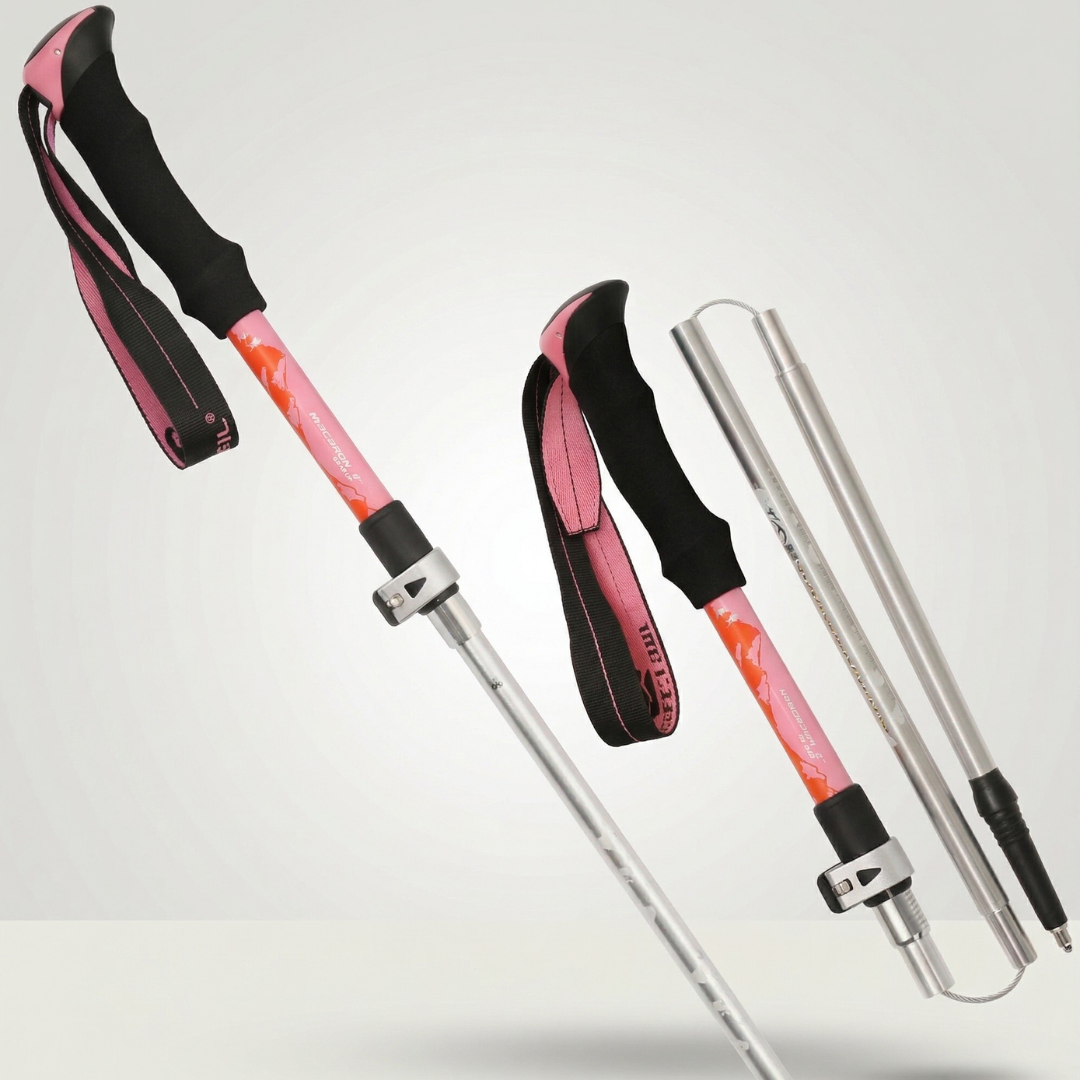 TerraVey | Faltbarer Nordic-Walking-Stock für Stabilität